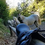 Rural Montanas De Pumar