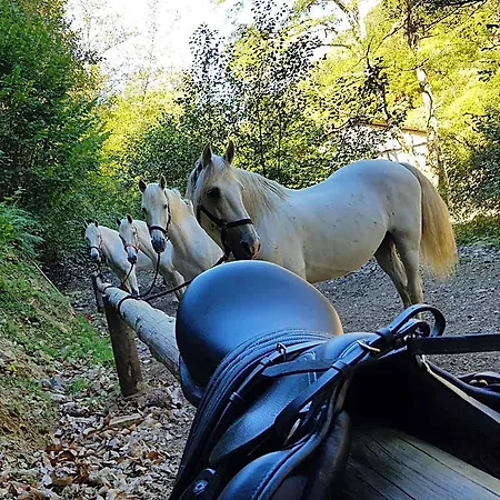 Rural Montanas De Pumar