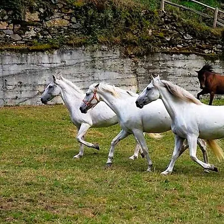 Hotel Rural Montanas De Pumar Besullo