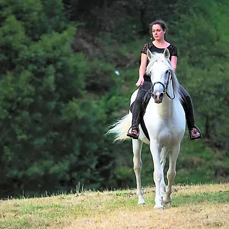 Rural Montanas De Pumar