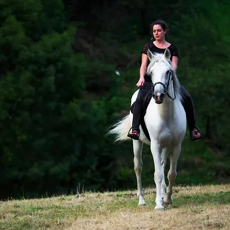 Rural Montanas De Pumar 4* Besullo