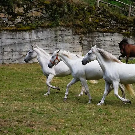 Rural Montanas De Pumar