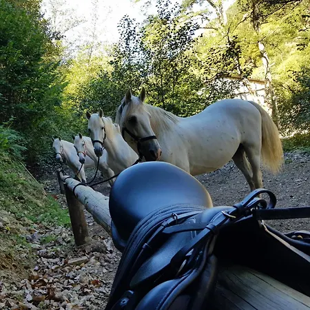 Rural Montanas De Pumar