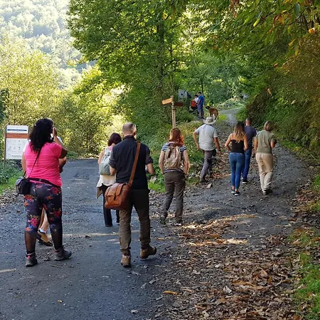 Hotel Rural Montanas De Pumar Besullo