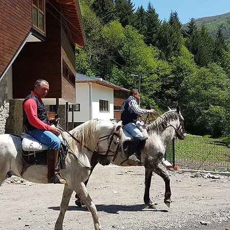 Hotel Rural Montanas De Pumar 4*