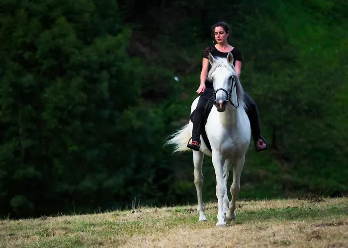 Rural Montanas De Pumar 4* Besullo