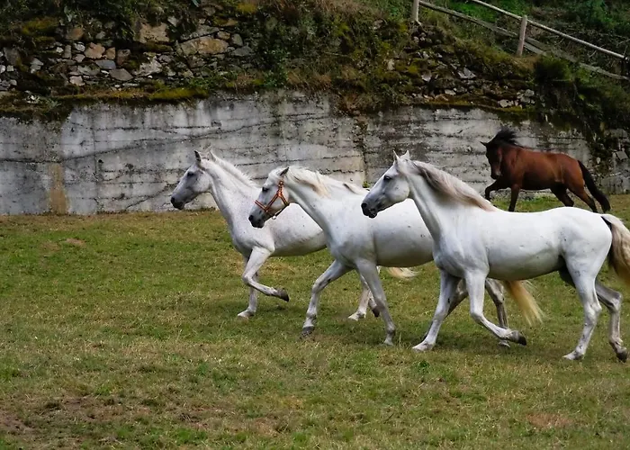 Rural Montanas De Pumar
