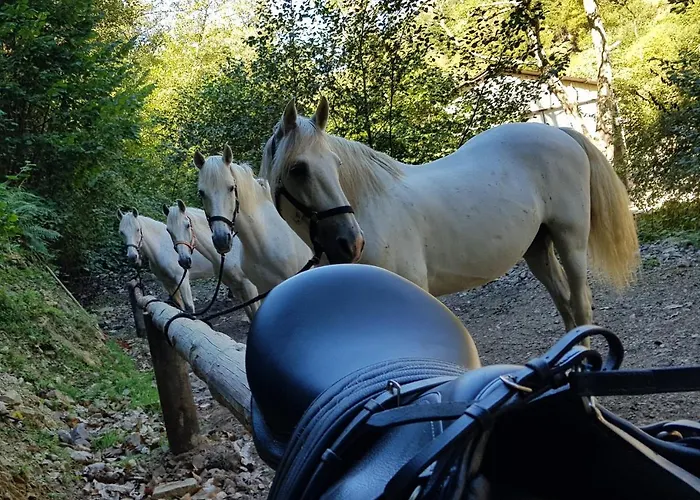 Rural Montanas De Pumar