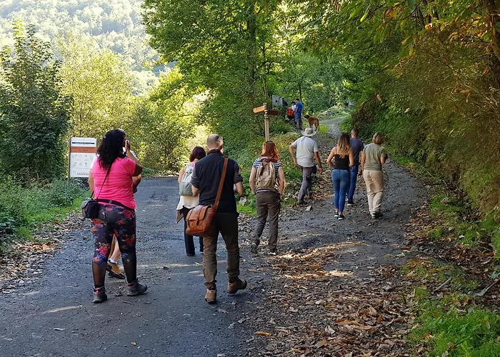 Hotel Rural Montanas De Pumar Besullo