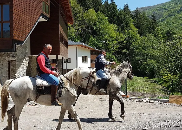 Hotel Rural Montanas De Pumar 4*